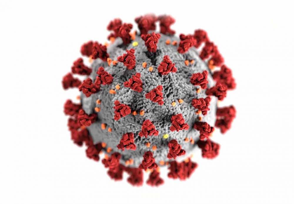 Coronavirus Visualisation