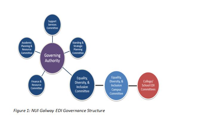 An infographic of the NUI Galway Governance Structure.