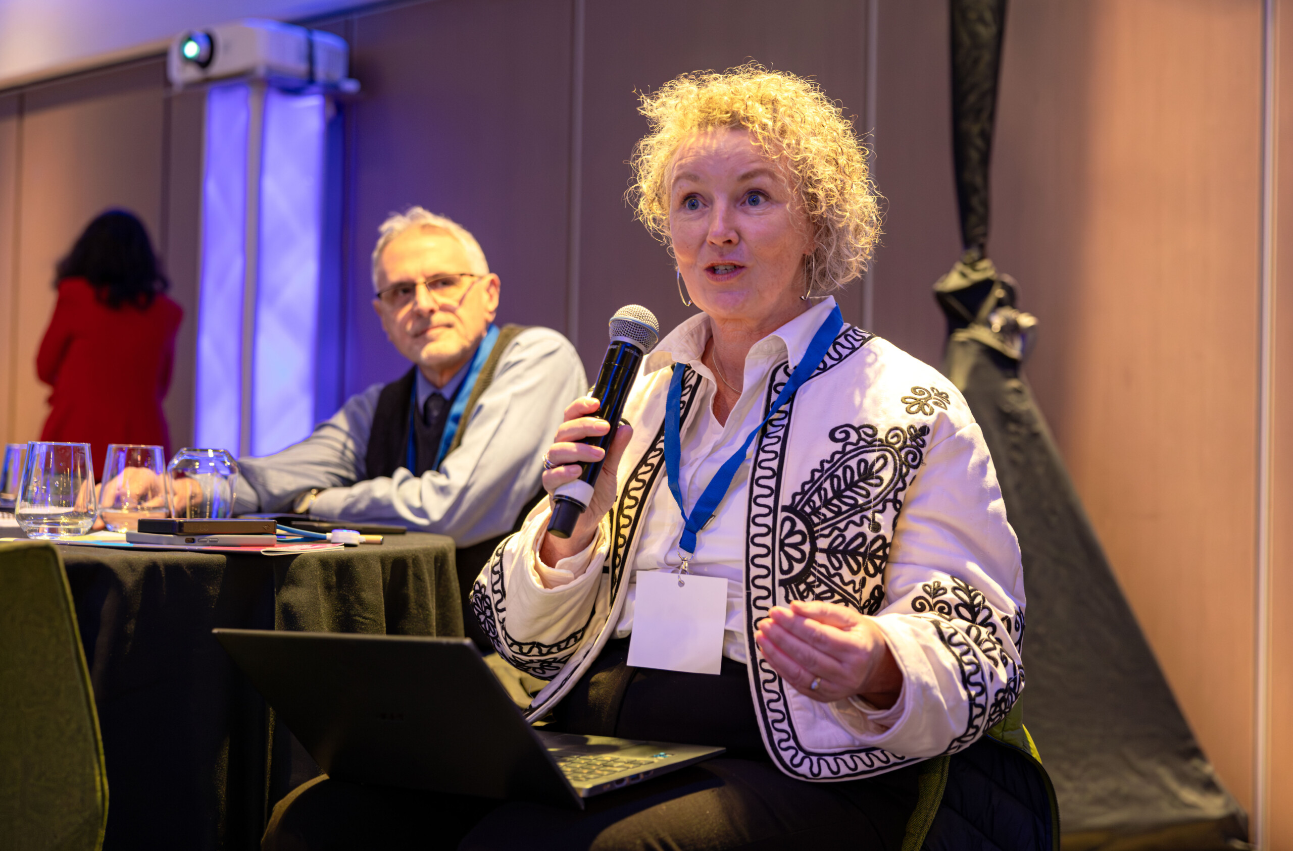 Image of a seated member of the audience speaking and holding a microphone at the North South Research Programme Conference 2024 at Croke Park, Dublin.