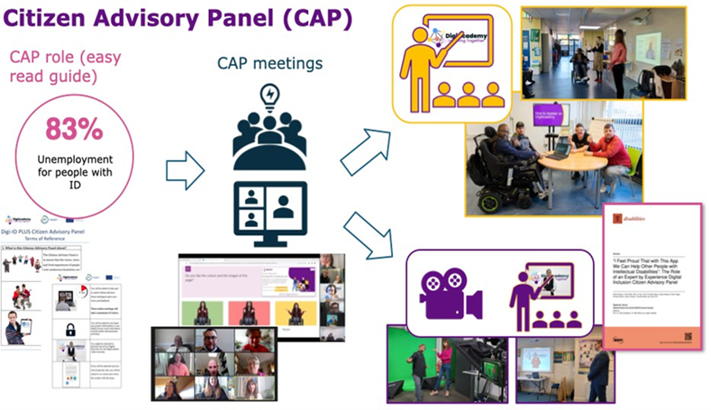 Figure 1: Citizen Advisory Panel