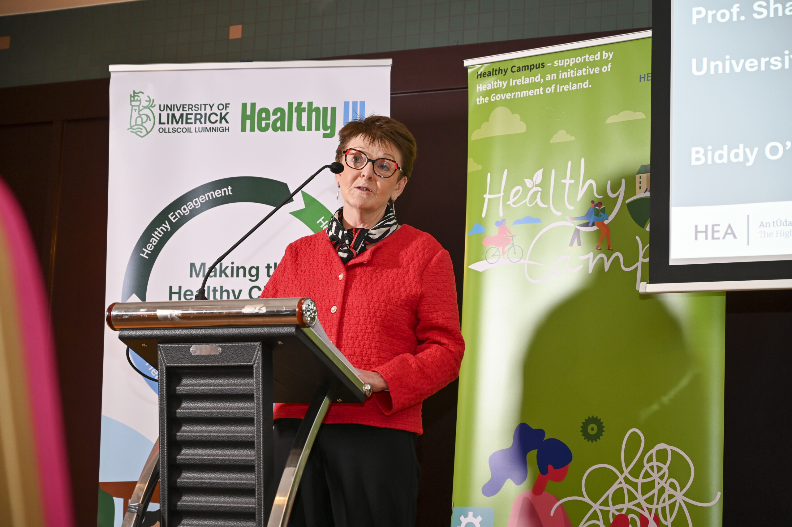 Female speaker speaking at the Launch of the Limerick Framework
