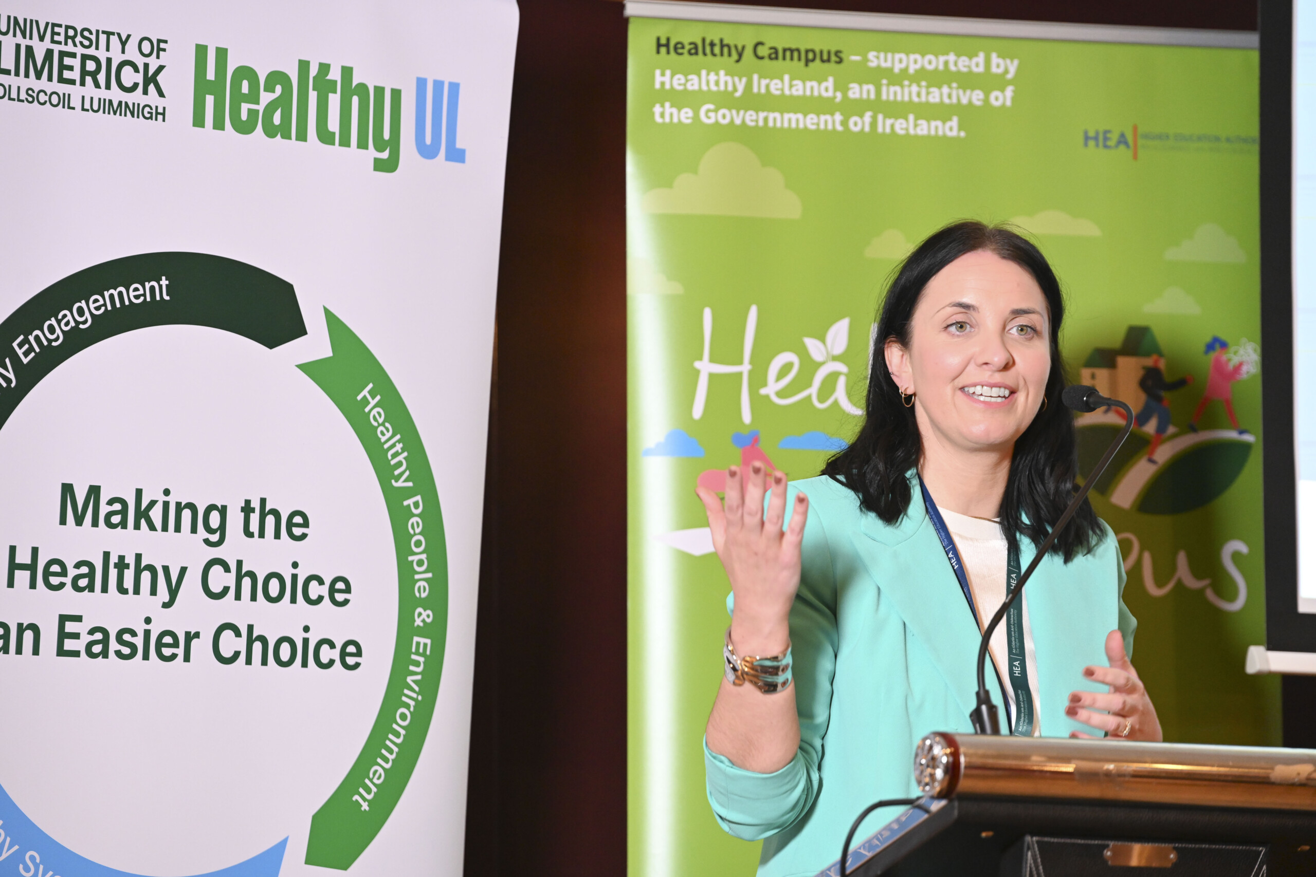 Caroline Mahon speaking at the Launch of the Limerick Framework