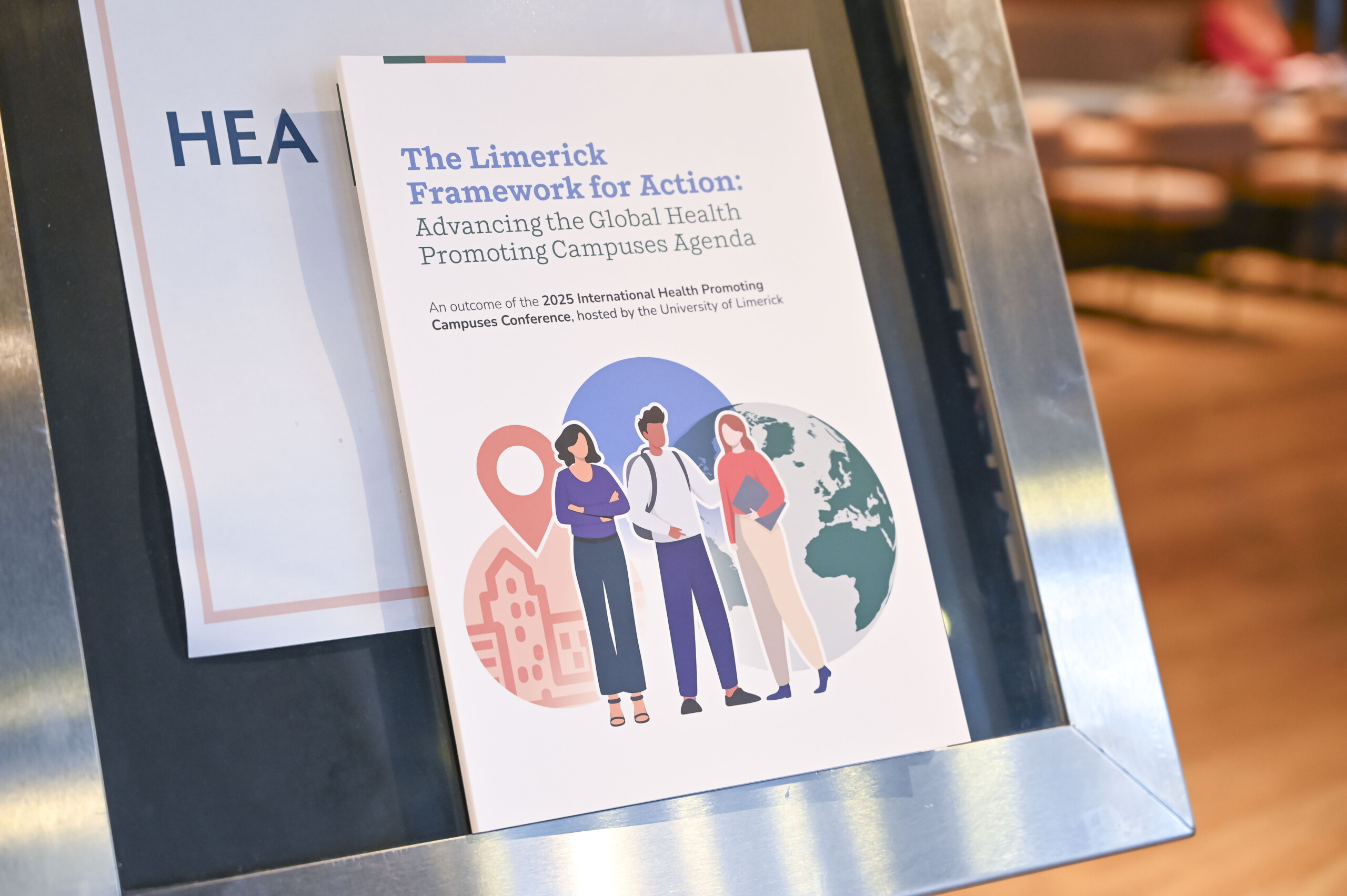 Picture of a Limerick Framework for Action booklet