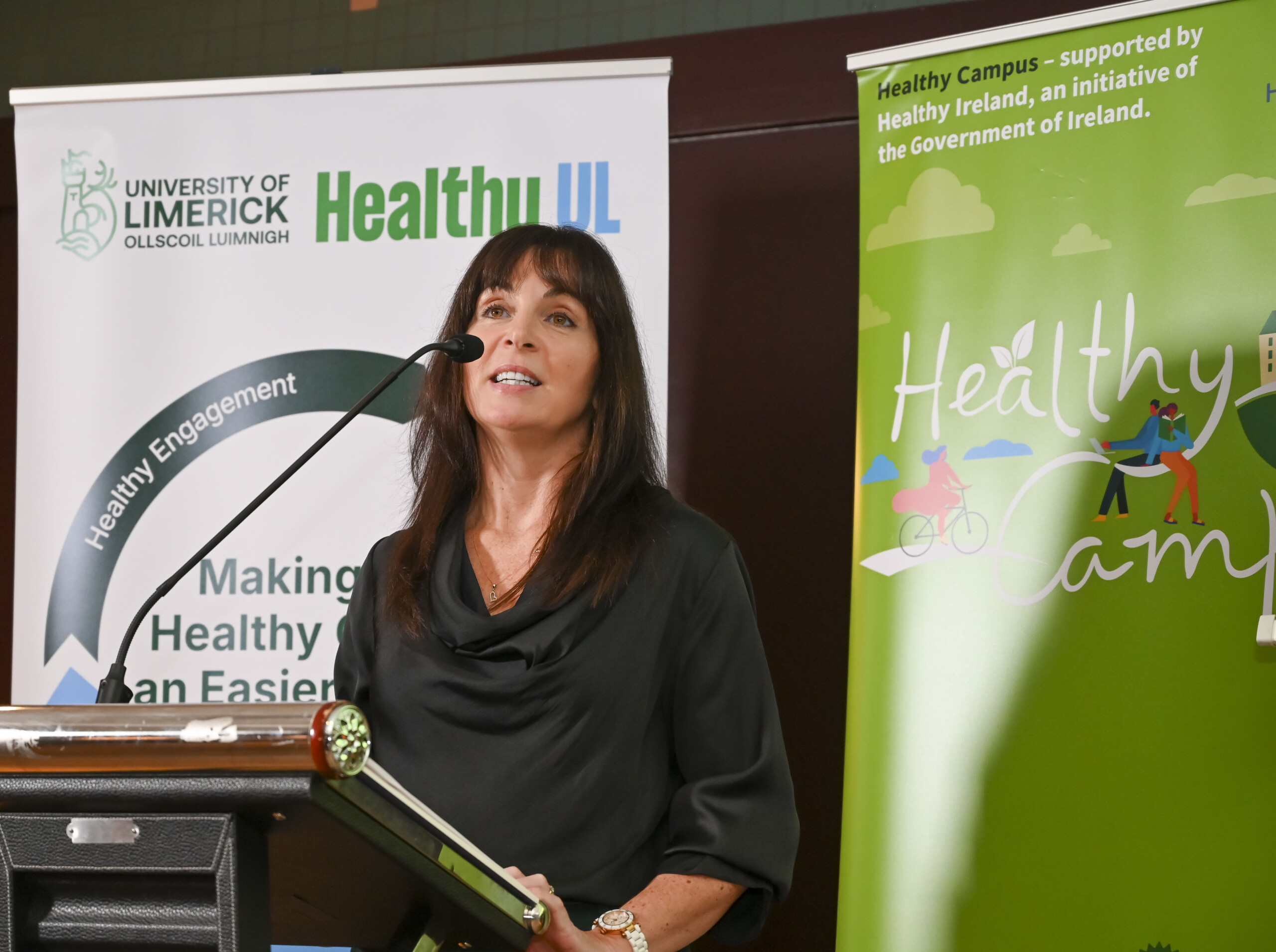 Female speaker speaking at the Launch of the Limerick Framework