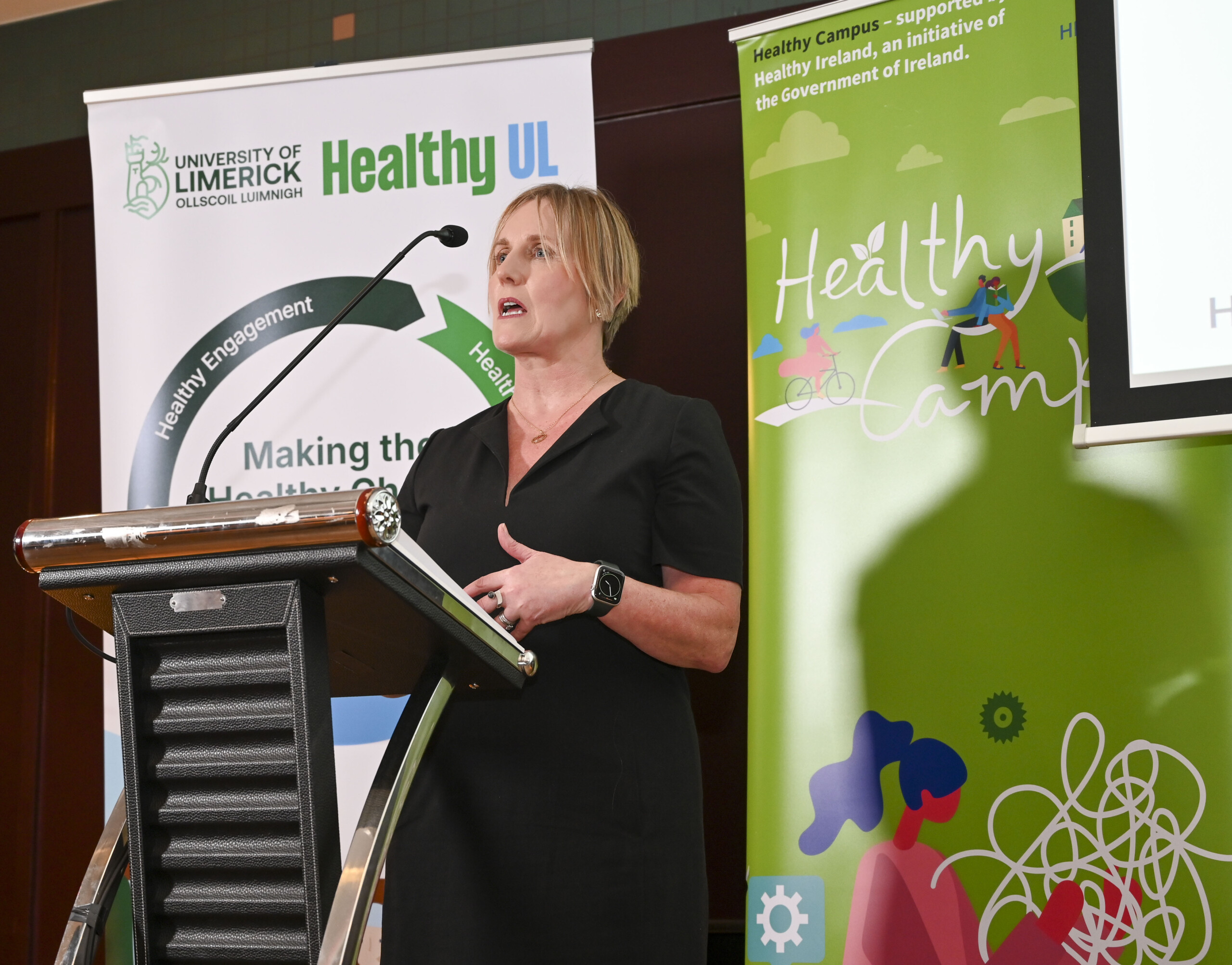 Female speaker speaking at the Launch of the Limerick Framework
