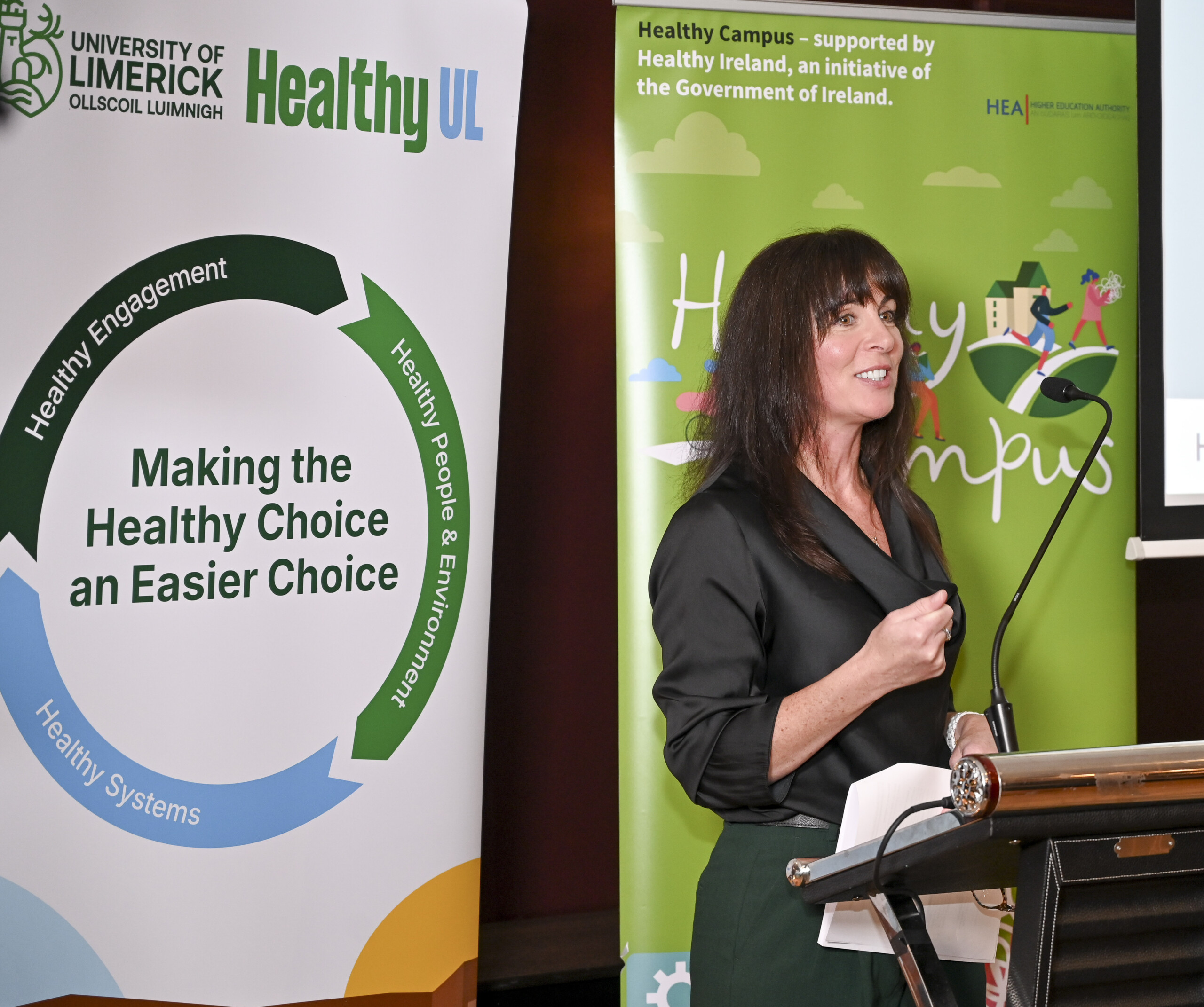 Female speaker speaking at the Launch of the Limerick Framework