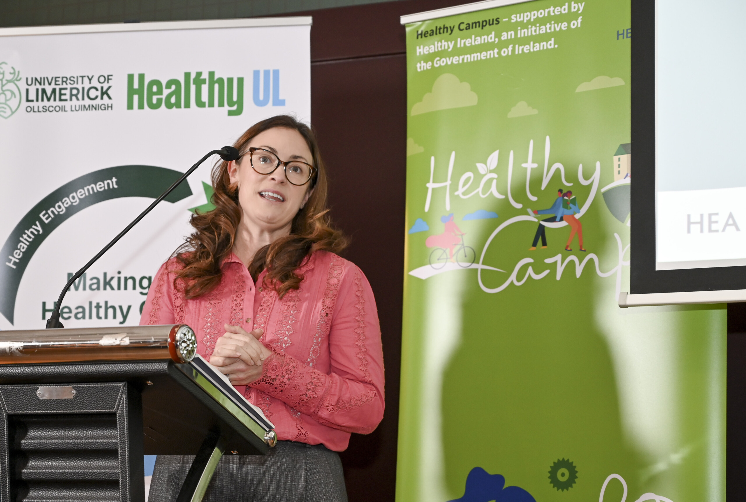 Female speaker speaking at the Launch of the Limerick Framework